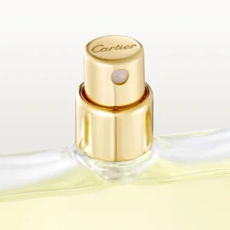 Eau De Toilette Yedek Paket – Declaration | Cartier