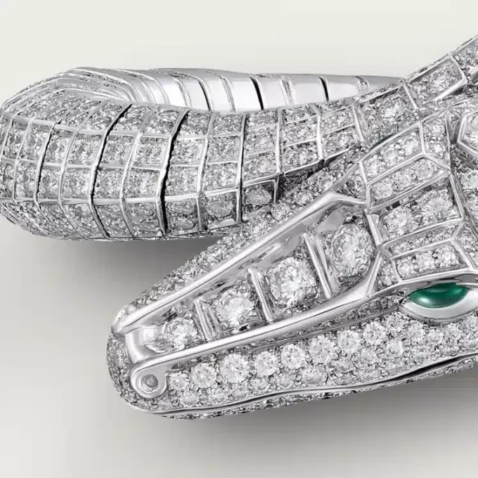 Faune Et Flore De Cartier Bilezik, Paved