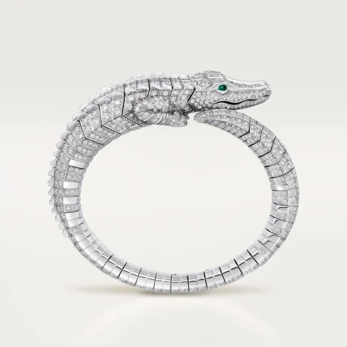 Faune Et Flore De Cartier Bilezik, Paved