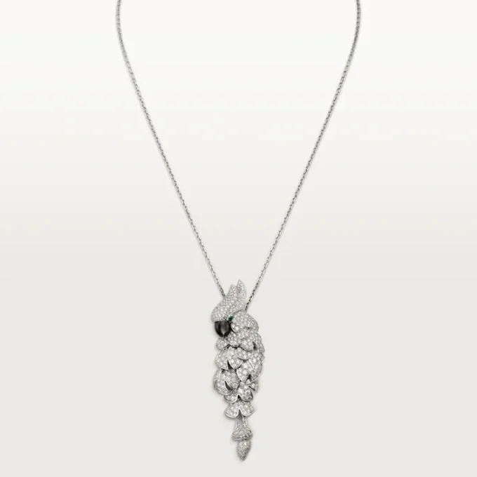 Faune Et Flore De Cartier Kolye, Paved
