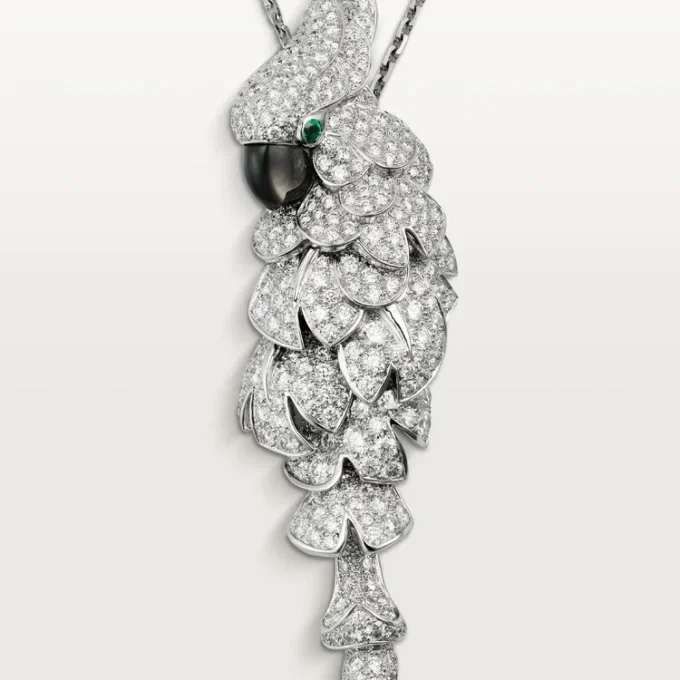 Faune Et Flore De Cartier Kolye, Paved