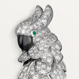 Faune Et Flore De Cartier Küpeler, Paved