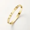 Love Bilezik, Klasik Model, Fırçalanmış, 4 Pırlanta