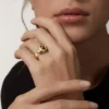 Panthere De Cartier Sarı Altın ve Oniks Yüzük | Cartier ABD Panthere De Cartier Sarı Altın ve Oniks Yüzük | Cartier ABD