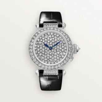 Pasha De Cartier Saat